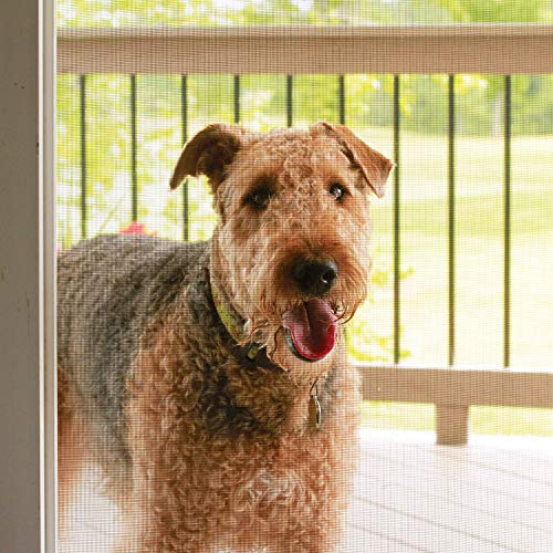 Saint-Gobain Adfors Fcs11145-M Pet Resistant Screen Repair Kit For Window & Door, Charcoal #TOP6