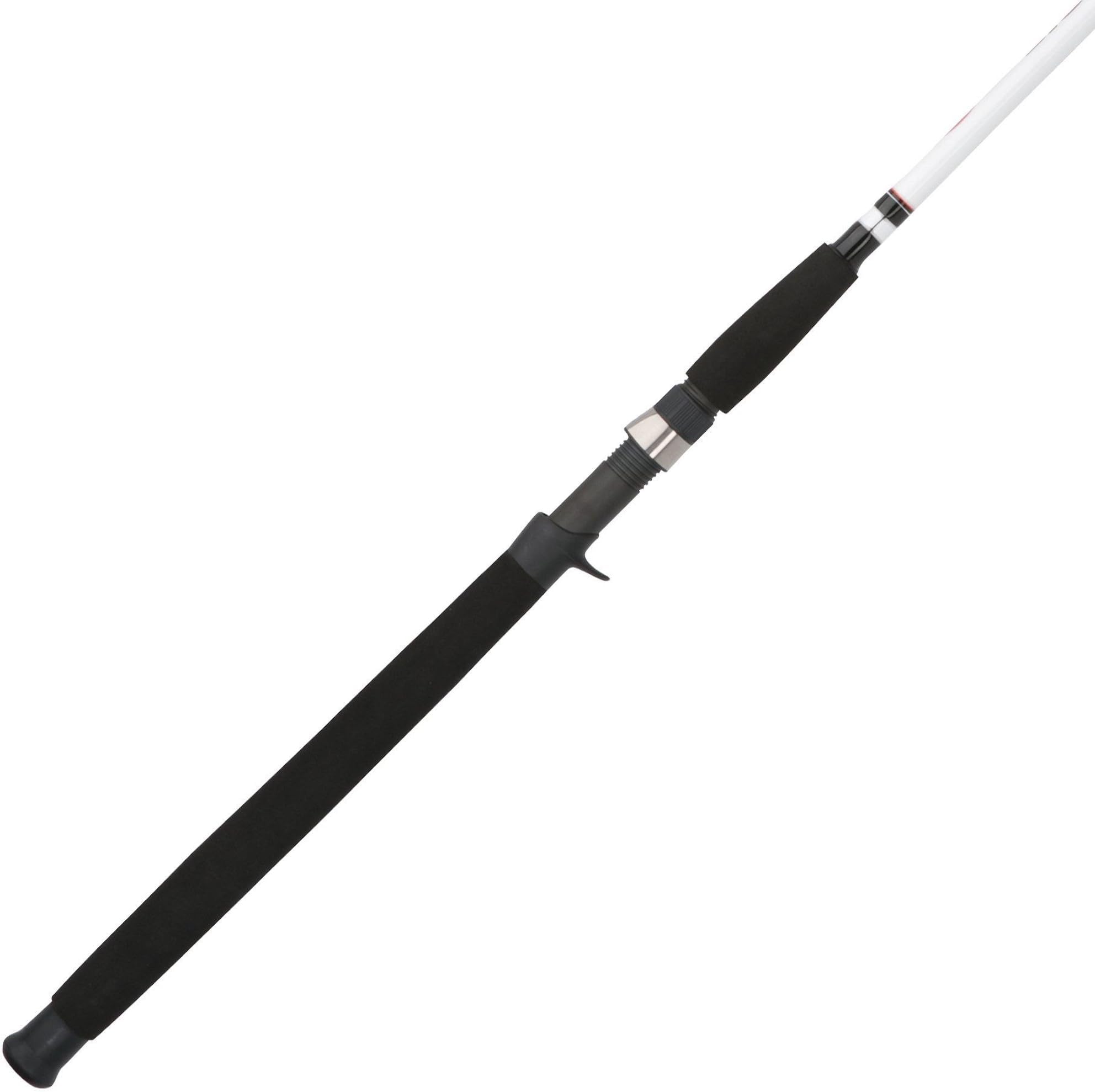 Berkley Big Game Casting Fishing Rod