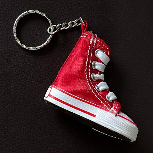 TRIXES Pack of 30 2.5cm Split Ring Replaceable Round Keychains- Silver Colour for Keys Crafts DIY