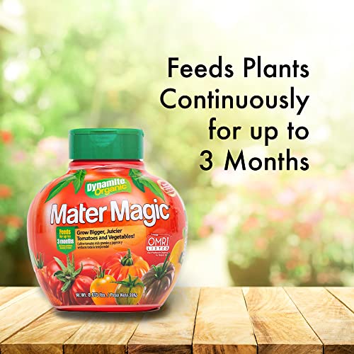 Dynamite 222280 Mater Magic - Organic Tomato Fertilizer thumb #4