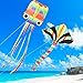 COOLJOY Cerf-Volant 2 Pack, Colorés Octopus Cerf-Volant et Grand Arc-en-Ciel Triangle Kite avec Longue Queue pour Enfants Adultes, Beach Cerf-Volant en pour Extérieur Jeux Activités avec Amis/Famille