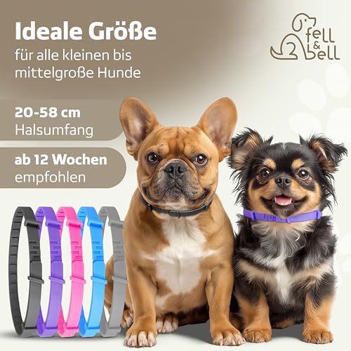 fell&bell Zeckenhalsband Mit 60 ml Kokos-Pflegespray – Natürliche Öle Gegen Ungeziefer – Hunde Halsband In 5 Farben – Bis 8 Monate Schutz – Flohhalsband - Wasserfest – Für Alle Hunde (Schwarz)