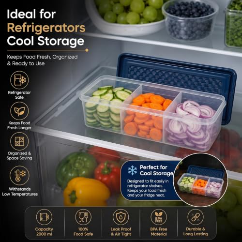 Image of MAGIC SPOON Multipurpose 3 Section Storage Container | Spice Box, Pickle Jar, Fridge Organizer, Dry Fruit, Vegetable & Kitchen Storage Container- 2000ml X 2 Pack (NAVY)