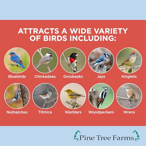 Pine Tree Farms Woodpecker Classic Seed Log for Wild Birds, 36 oz. (3 Pack) - Thumbnail 3