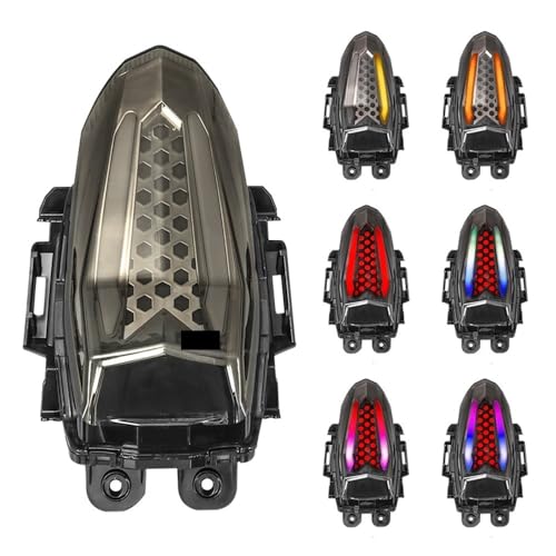 Luz trasera de motocicleta para YZF R15 V3 V4 2017-2023 con intermitentes 2