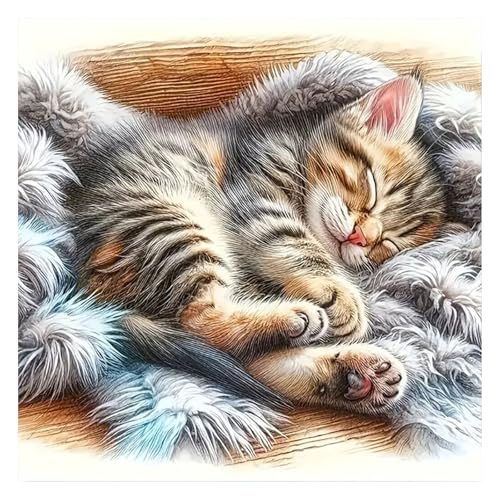 Peinture diamant carrée 40 x 40 cm anti stress avec motif chat pour adulte