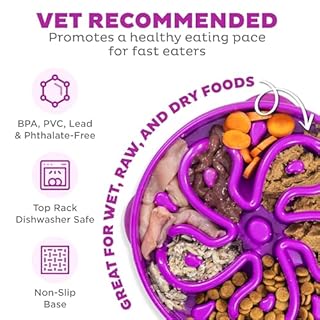 Outward Hound Fun Feeder Slo Bowl – Large 4‑Cup Capacity, Slow Feeding, Medium to Large Dogs, Non‑Slip, Purple, Flower Pattern