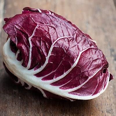 Endive Seeds - Rossa Di Verona Radicchio - Packet - Red Vegetable Seeds, Heirloom Seed, Open Pollinated Seed Fast Growing, Container Garden