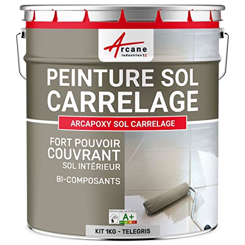 ARCANE INDUSTRIES Peinture carrelage Sol, résine pour recouvrir faïence et Carreaux : Arcapoxy Sol carrelage - 1 kg (jusqu'à 5 m² en 2 Couches) Telegris 4 - RAL 7047