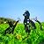LHEARTMIC Cat Metal Decorative Garden Stakes Cat Gifts for Women Men Gardening Lover Black Silhouette Statues Garden Decor for Outside, Yard Art,Outdoor, Lawn, Patio, Backyard,Walkway Decorations