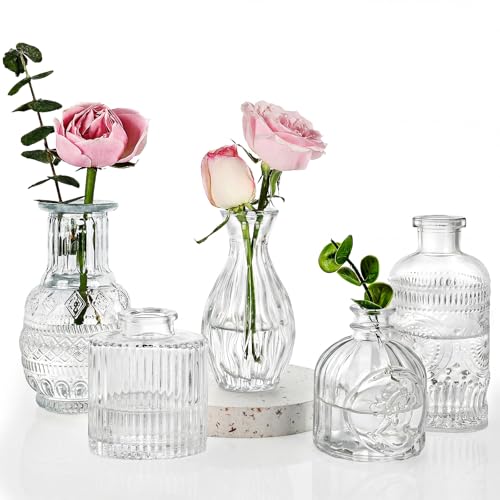 Fixwal Set of 5 Bud Vases Small Vase for Flowers Glass Vase for Home Decor Wedding Decorations Clear Flower Vases for Centerpieces Vintage Vase for Home Decor