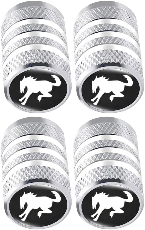 Wheel Tire Valve Stem Caps, 4 Piece Aluminum Alloy Metal Car Rim Air Valve Cover, Anti-Rust,Leak-Proof Seal,Waterproof (Silver) (Silver-BO)