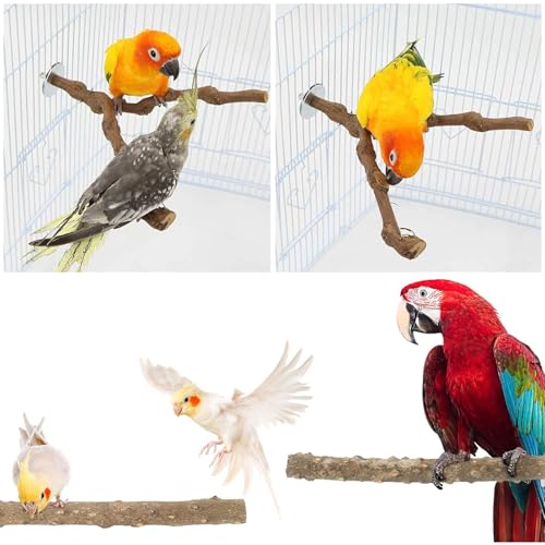 Image of Woohome Natural Wooden Perch Bird Stand Parrot Perch Stand, Natural Wood Platform Bird Climbing Standing Branches Toy for Small Lovebirds Budgies Cockatiels