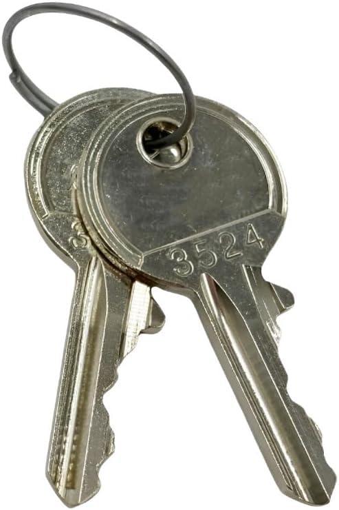 Generic 1Pair (2Keys) For Rittal 2532000 Enclosure Key - Amazon.com