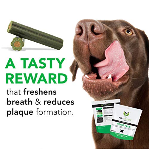 Vetriscience Perio Plus For Dogs, Chicken Liver, 30 Stix - Fresh Breath, Gums And Plaque Control - Crunchy Outside, Soft Inside #TOP2