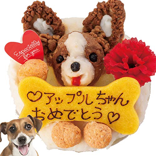 愛犬の誕生日におすすめのプレゼント15選 とっておきの食べ物や雑貨をご紹介 Folk 愛犬の誕生日におすすめのプレゼント15選 とっておきの食べ物や雑貨をご紹介 Folk
