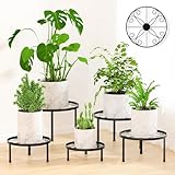 RANRTI 5-Pack Decent Metal Plant Stand Indoor, Assembly Free Plant Stands for Multiple Plants Outdoor, Anti-Rust Flower Display Stand, Corner Plant Shelf for Home Patio Gardening Decor (Black)