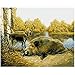 AZYVv Puzzle di Legno Fai da Te Jigsaw Puzzle 1000 Pezzi Caccia Cane Cinghiale Animale Matrimonio Foto Art Speciale Regalo Gioco Decorazione della Casa
