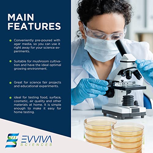 Evviva Sciences Potato Dextrose Agar Petri Dishes - Prepoured Potato Dextrose Agar (Pda) - For Mushrooms, Home Test Kit, Or For Science Fair Projects, Petri Dishes With Agar #TOP3