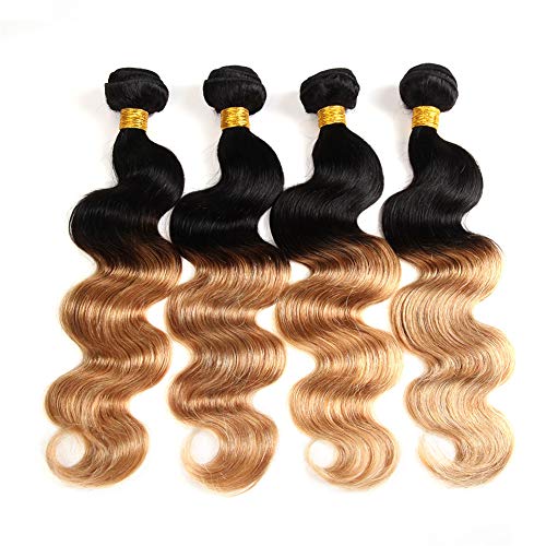 ELEE'S HAIR Ombre Body Wave Bundles Brazilian Virgin Hair Body Wave Bundles 8A Grade Ombre Human Hair Bundls Body Wave 400g/Lot 2 Tone 1b/27 (20 22 24 26)