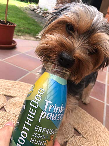 Hunde Smoothie SmoothieDog 6er Trinkpause (Ente) + Doggyroller m. Halter, Karabiner Blau - Flüssiges Hundeleckerli - Zucker- & glutenfrei - Zubehör Hund - je 250ml