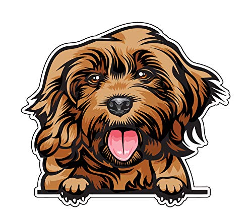 Autocollant vinyle cockapoo souriant pour ordinateurs portables