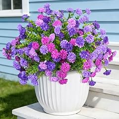 Double-lotus Double-purple