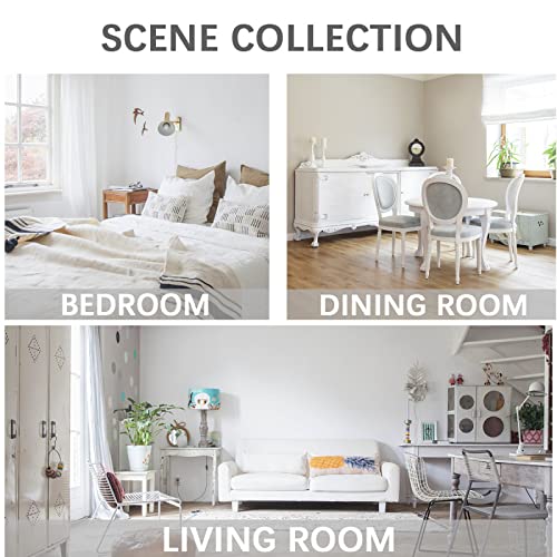 Mushroom Round Tin Sign Funny Iron Painting Botanical Decor Nature Art Snails Print Poster Plate Decor For Home Office Coffee Bar Club Pub Housewarming Gift Round Metal Sign 12X12 Inch #TOP3