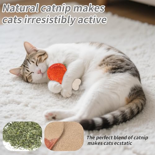 Juguetes Interactivos Dentición Gatos contra Sarro 8