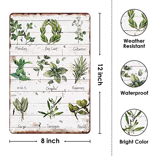 Metal Tin Sign Vintage Herbs Botanical Themed For Home, Kitchen, Living Room, Garden, Bedroom, Office, Hotel, Cafe And Pub Wall Decor 12X8 Inches #TOP1