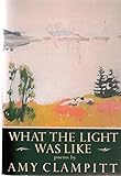 What the Light Was Like (The Knopf poetry series)