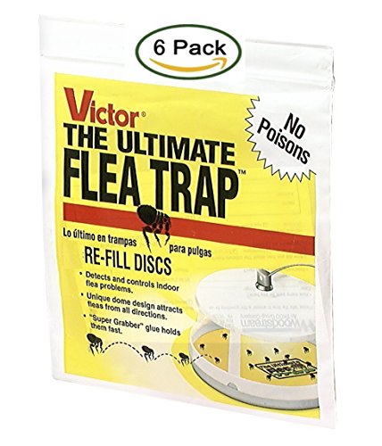 Safer Brand SYNCHKG113211 Victor M231 Ultimate Flea Refills, (2 Pack of 3 Traps), Unknown Safer Brand SYNCHKG113211 Victor M231 Ultimate Flea Refills, (2 Pack of 3 Traps), Unknown