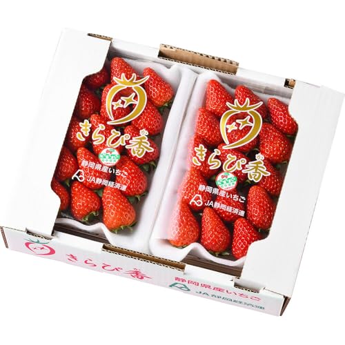 ҍ 2P t[c ʕy͂snFz