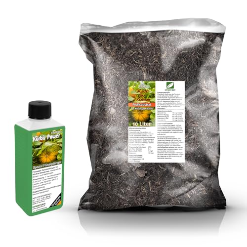 Umtopf - Set für Kürbispflanzen (Cucurbita) - bestehend aus 10...