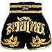 EVO Fitness Shorts De Muay Thai MMA Kick Boxing Arts Martiaux Combat Rouage - Noir et Or, Large