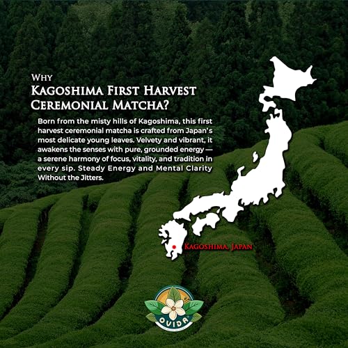 Té Matcha en polvo 127 g orgánico de origen Japón miniatura 4