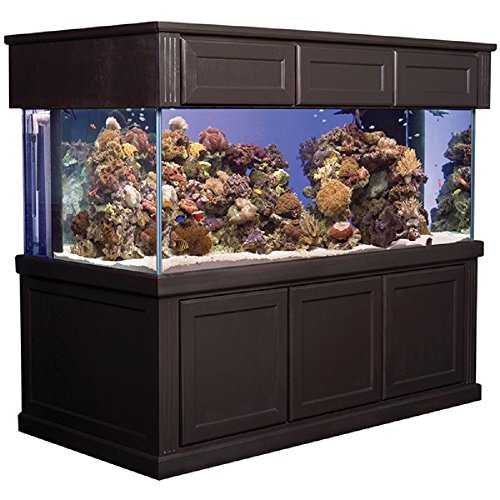 Marineland 300 Gal Starphire Aquarium, 72INX36INX27IN, Black, Glass, Modern, Fish, Indoor, Aquarium, Tank