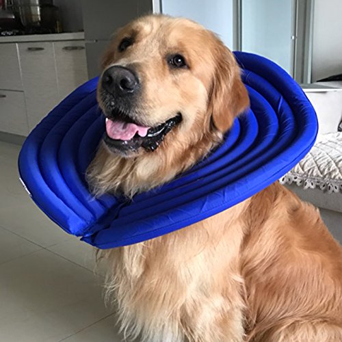 Alfie Pet - Toby Waterproof Recovery Collar For Dogs And Cats - Color: Blue, Size: Xxl #TOP2