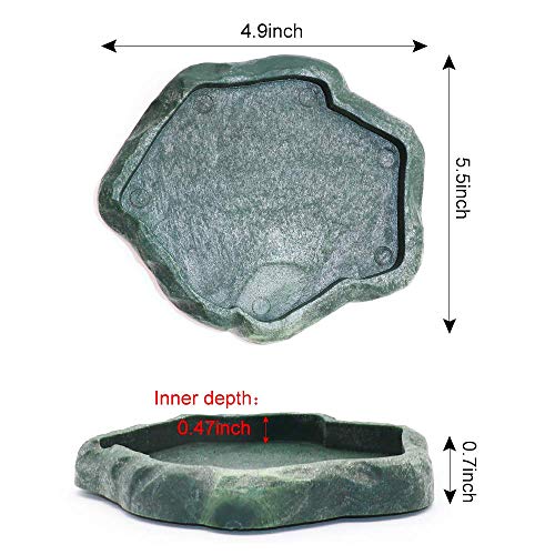 SLSON Reptile Feeder Terraium Bowl Plastic Shallow Reptile Feeder for Food and Water Feeding Dish for Lizard Gecko… - Image 5