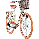 fahrradverleih paris zentrum komplette Ausstattung Fahrrad mit Schutzbleche, Kettenschutz, Seitenständer, Frontgepäckträger, Korb, Gepäckträger