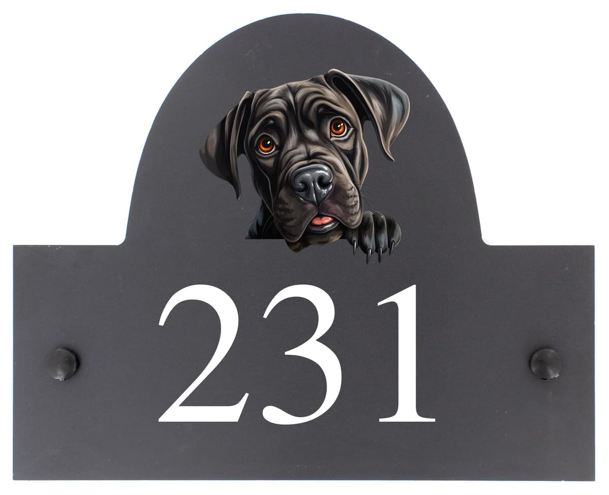 Targa personalizzabile con nome o numero civico in ardesia con cane corso, 25 x 20 cm