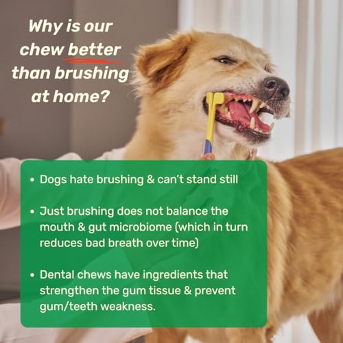 Image of Absolut Pet Dog Supplement for Oral Care, Dental Powder for Dogs that Reduces Plaque & Tartar | Freshens Breath & Supports Gum Health (30 Servings)