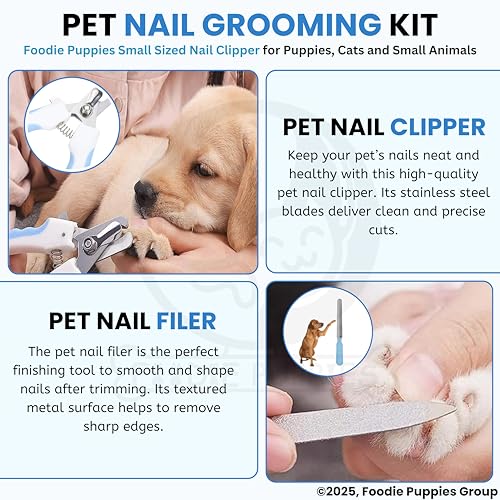 Image of Foodie Puppies Professional Animal Nail Cutter Clipper Trimmer Filer - (Nail Clipper - Small) for Small Dogs, Puppies, Cats, and Kittens Claw Grooming Tool Set (Colour May Vary)