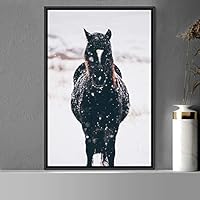Framed Canvas Wall Art Horse Animals Dramatic Farmhouse/Country Horse Living Room Multicolor Photography - 16x24 inches