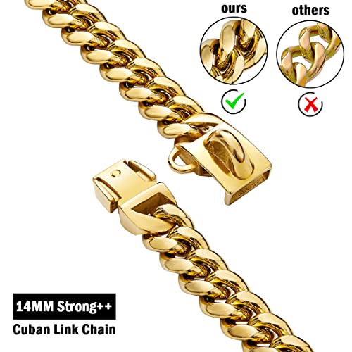 Strong Stainless Steel Gold Dog Chain Collar with Safety Buckle,14MM Cuban Link Chain Training Collar,Dog Necklace Walking Collars for Small Medium & Large Dogs Strong Stainless Steel Gold Dog Chain Collar with Safety Buckle,14MM Cuban Link Chain Training Collar,Dog Necklace Walking Collars for Small Medium & Large Dogs