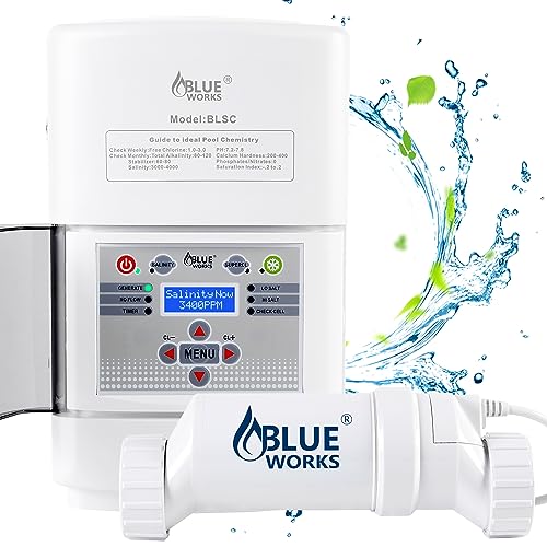 Top 10 Best Saltwater System For Pool Reviews & Buying Guide Katynel