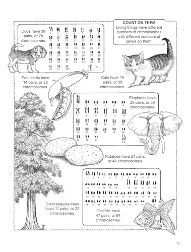 My First Book About Genetics