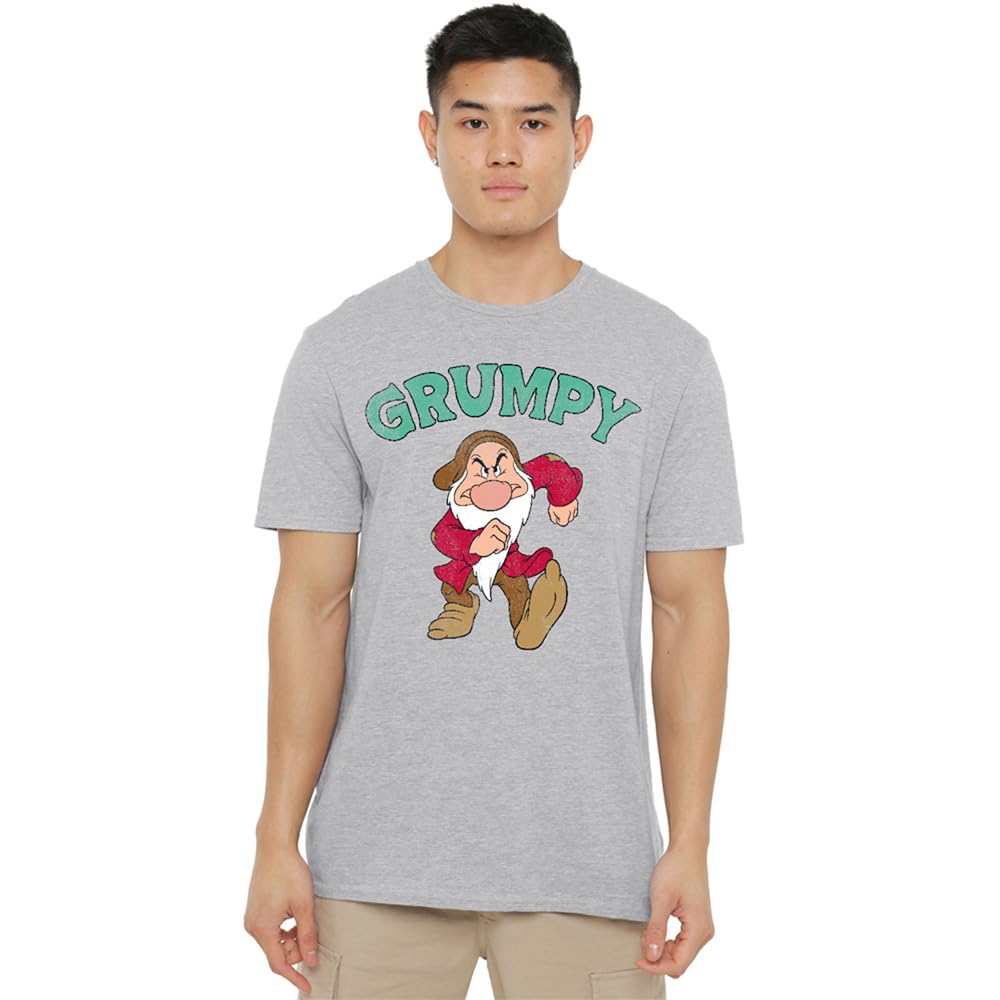 Disney Snow White & The 7 Dwarfs Father's Day Grumpy Dad Unisex T Shirt, Heather Grey, XXXXX-Large