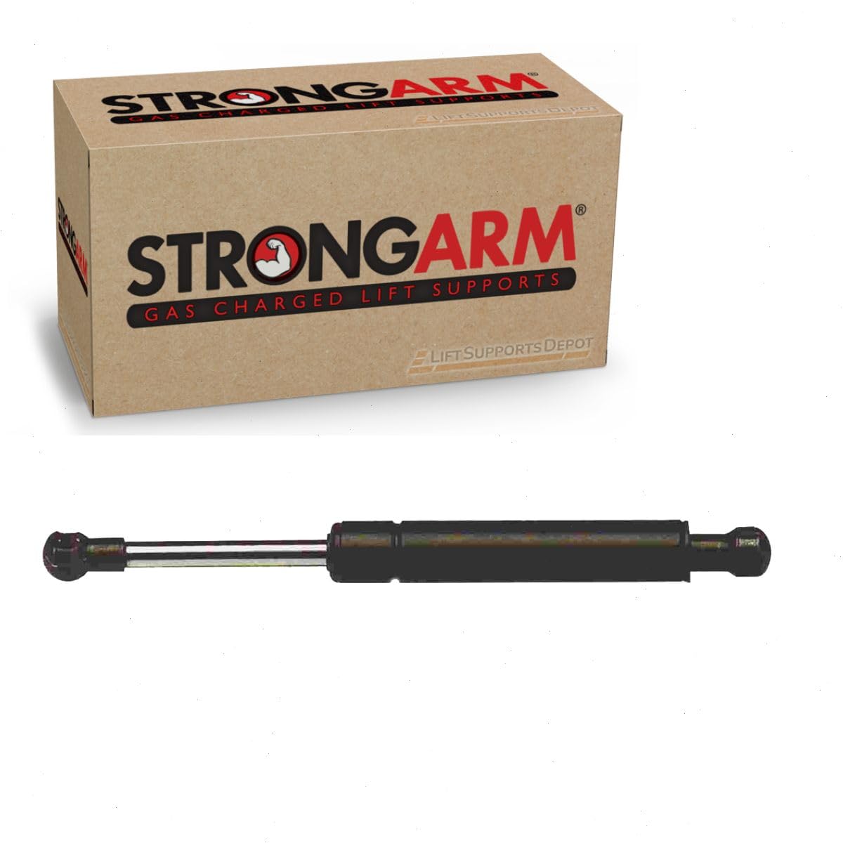 Amazon.com: Strongarm 6651 Trunk Lid Lift Support, Pack of 1