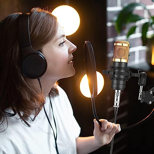 Image of TECHBLAZE Professional USB Condenser Microphone with Double-Layer Noise Filter, Metal Protective Mesh, Alloy XLR Interface, Plug-and-Play PC Mic for Gaming, Streaming, Podcasting & Recording